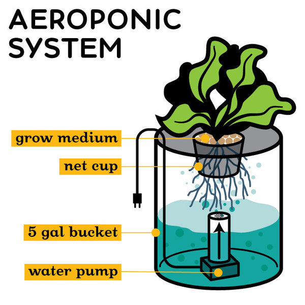 Hydroponic System Types