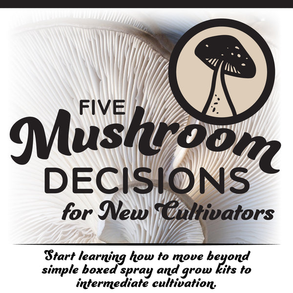 5 Mushroom Decisions for New Cultivators