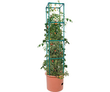 Load image into Gallery viewer, Heavy Duty Tomato Barrel w/Tower