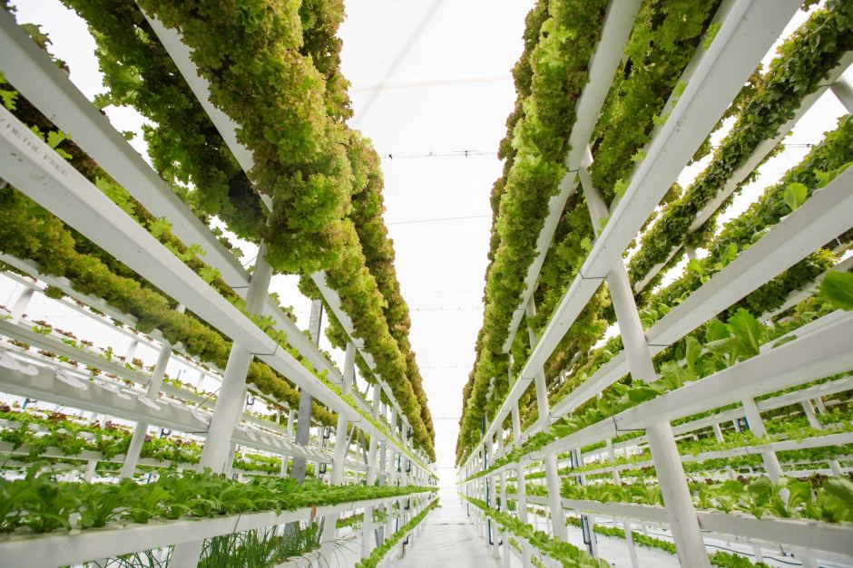 Good Grower Good Grow Garden Center and Hydroponics Supply – Good Grow USA