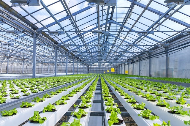 Good Grower Good Grow Garden Center and Hydroponics Supply – Good Grow USA