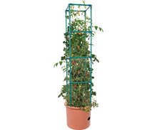 Load image into Gallery viewer, Heavy Duty Tomato Barrel w/Tower
