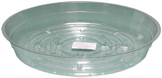 Clear 8" Saucer, pack of 25