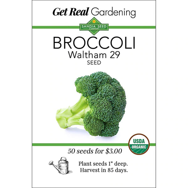 Broccoli - Waltham 29 Seeds - Organic