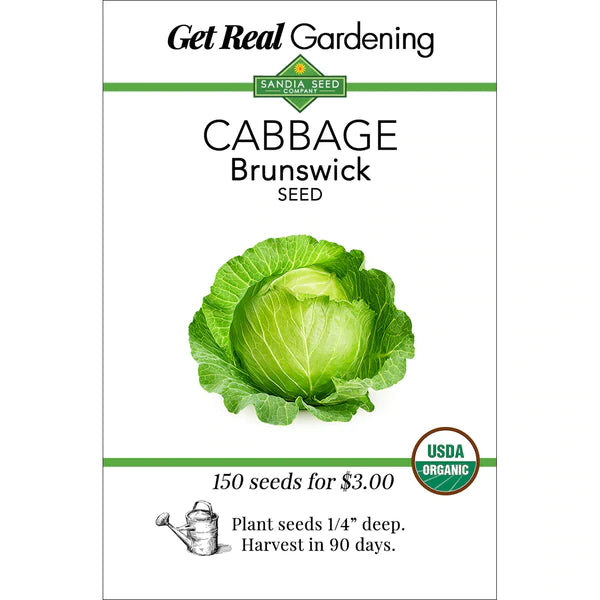 Cabbage Brunswick Seeds - Organic