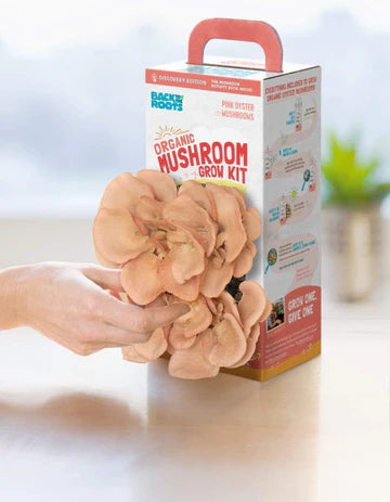 Back To Roots Organic Mushroom Grow Kit - Organic Pink Oyster Mushrooms