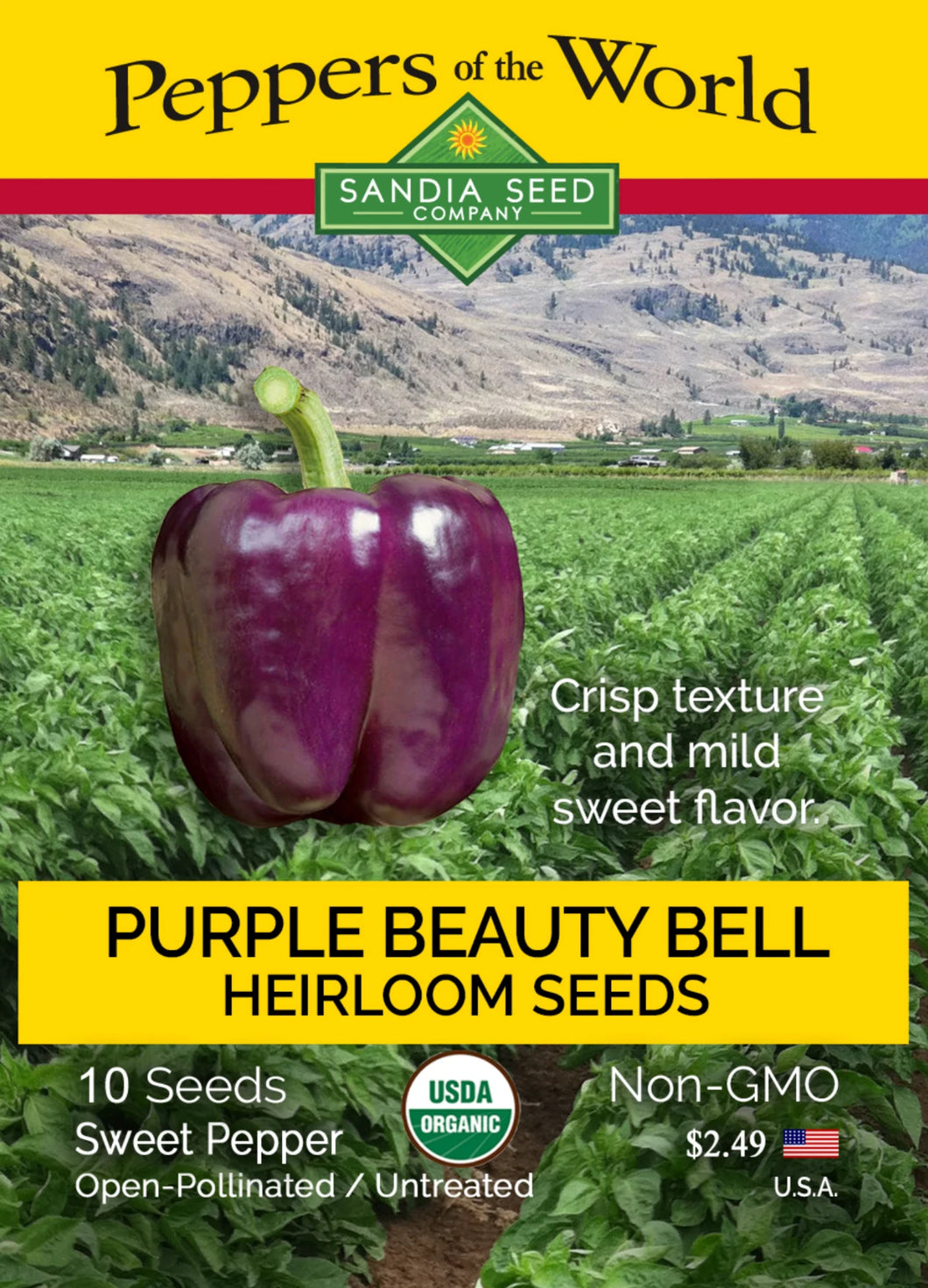 Bell Purple Beauty Sweet Pepper Seeds Organic