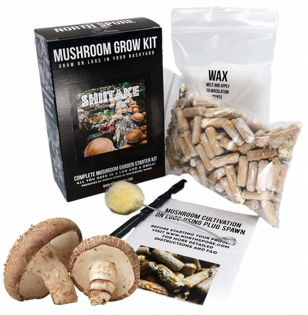 North Spore Lion's Mane Mushroom Log Kit