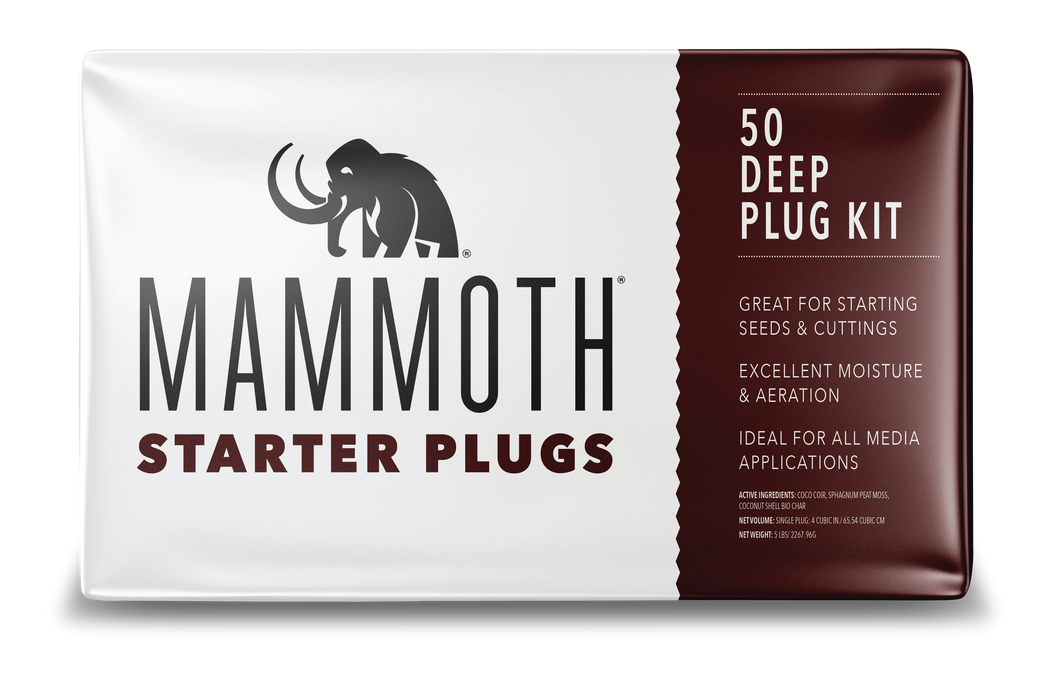 Mammoth Starter Plugs