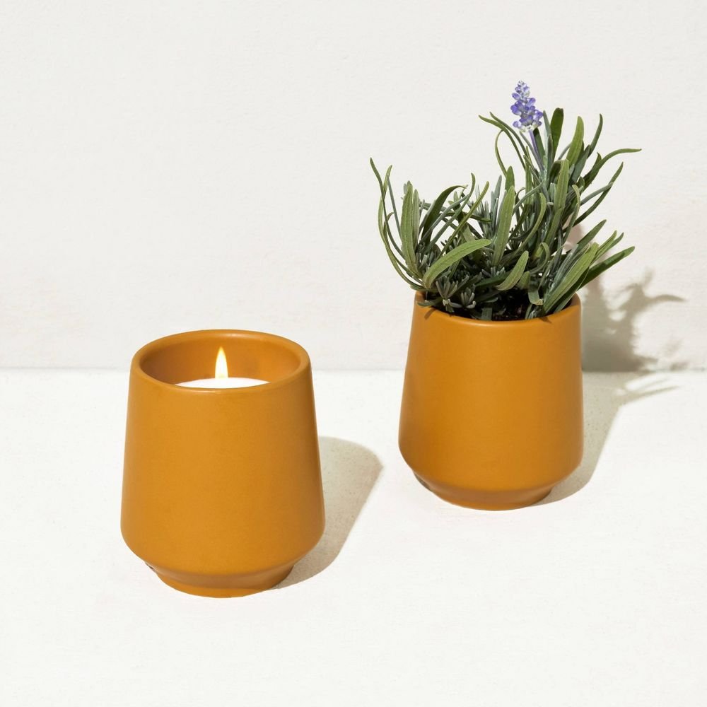 Modern Sprout Rooted Candle, Lavender