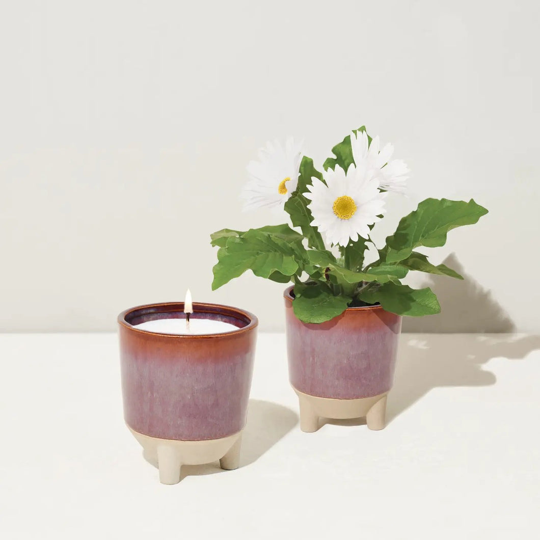 Modern Sprout Glow & Grow Candle Kit